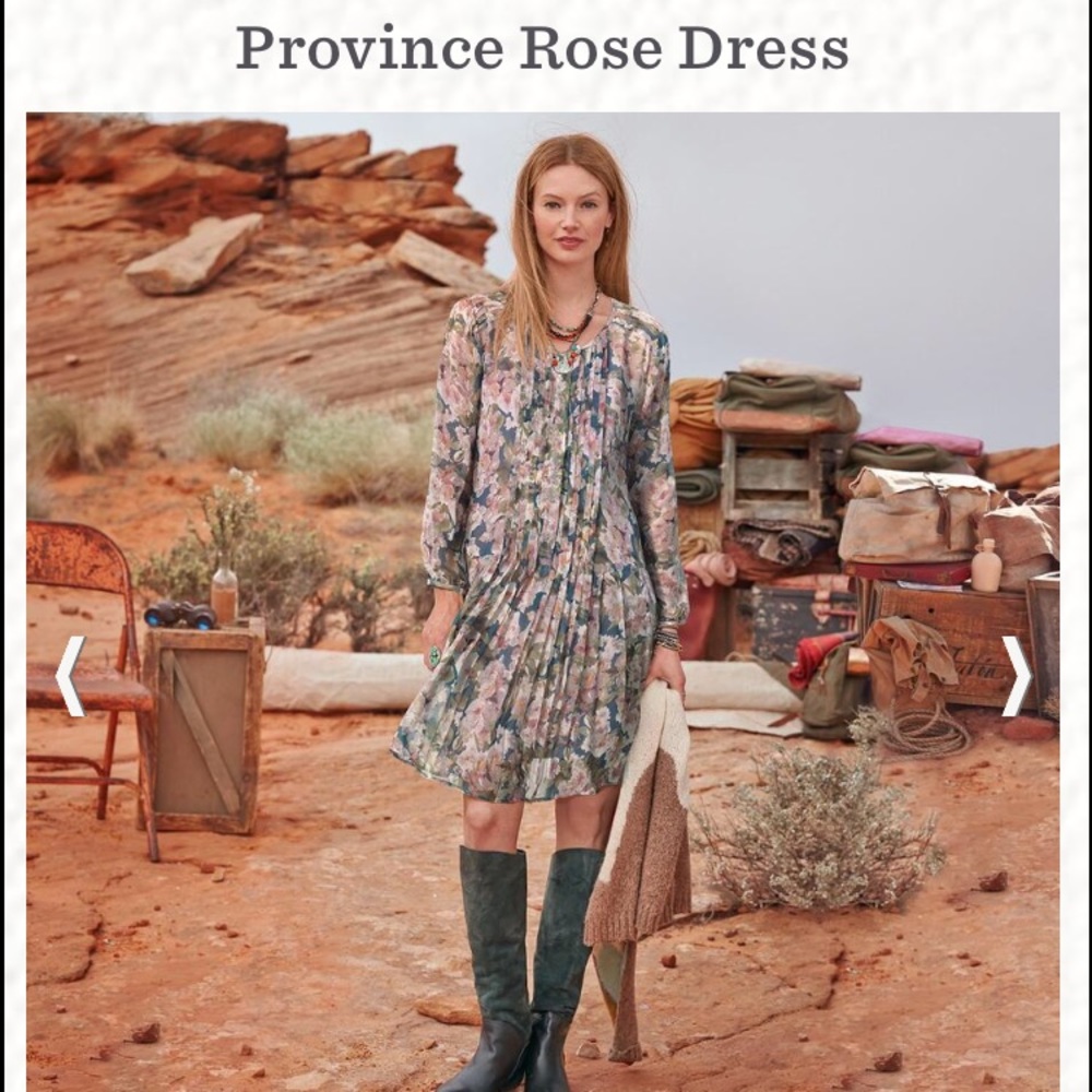 Pintuck dress. Never worn.